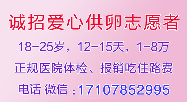 诚招爱心供卵志愿者