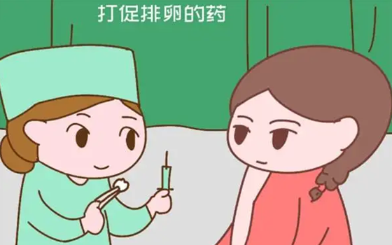 该怎么促进女性排卵呢?